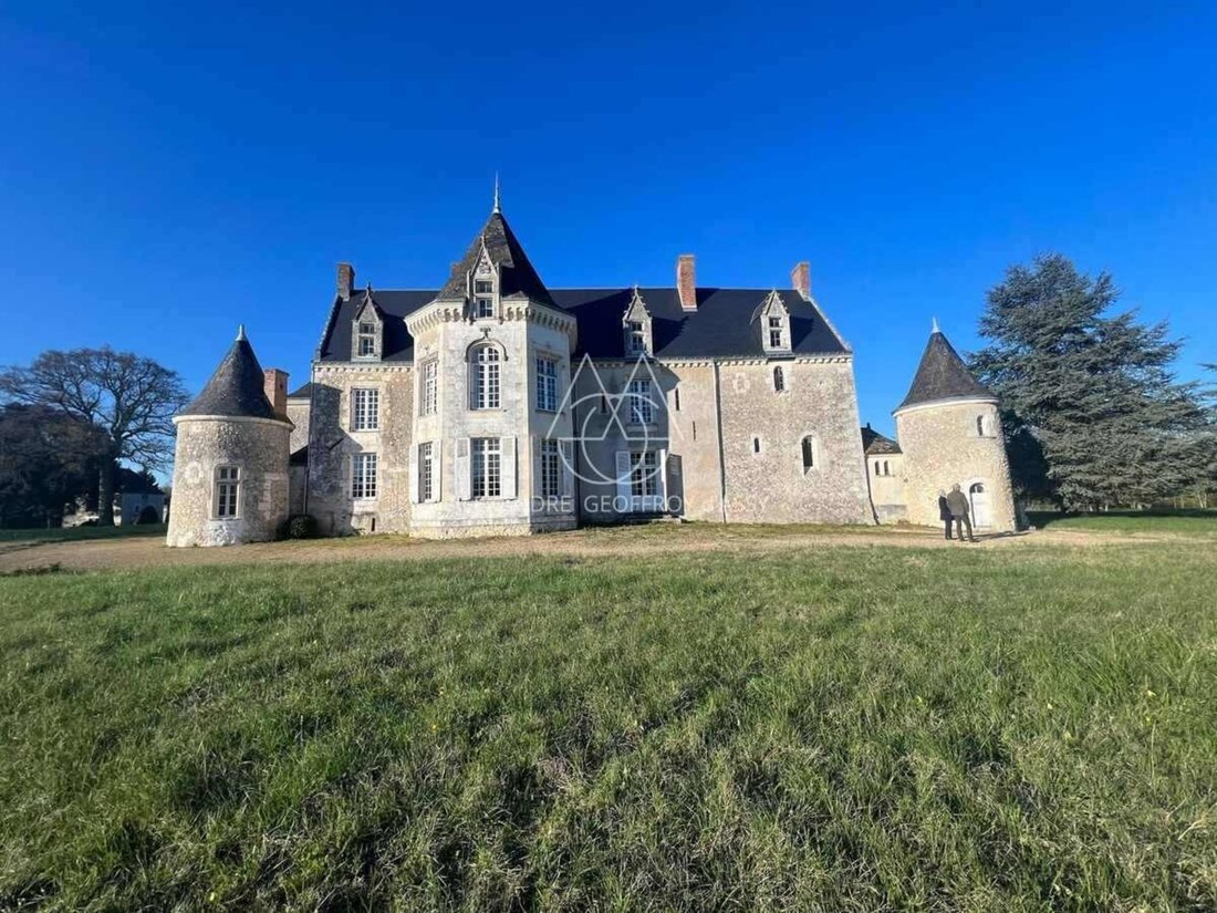 House in Chateau-la-Valliere, Centre-Val de Loire, France 1 - 18205890