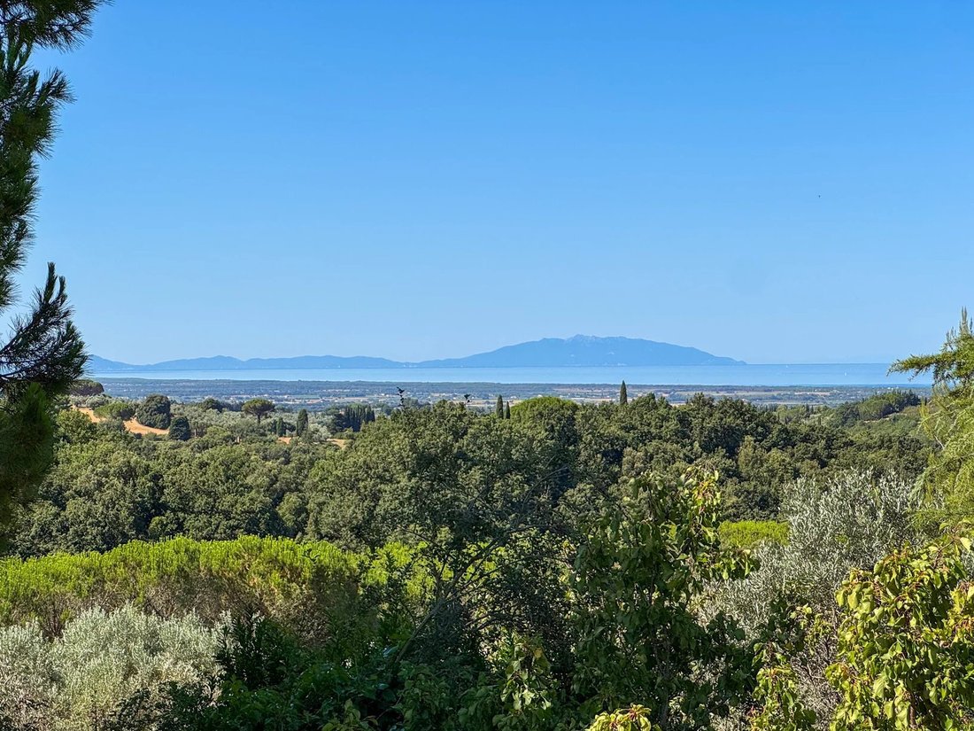 Maison à Guardistallo, Toscane, Italie 2 - 18500874