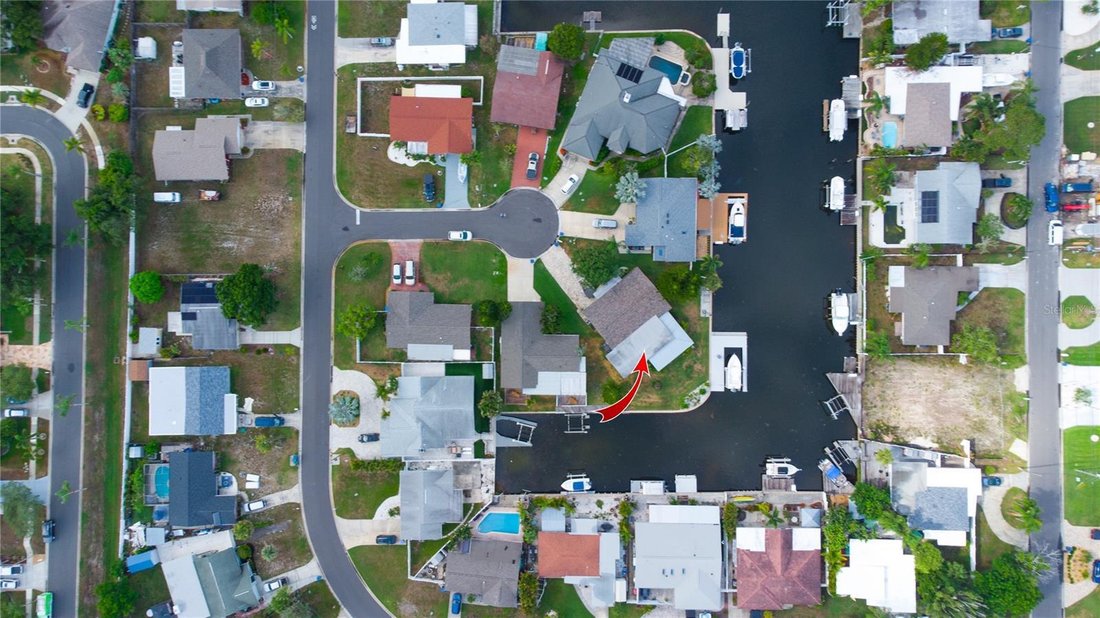House in Palm Harbor, Florida, United States 3 - 18502549