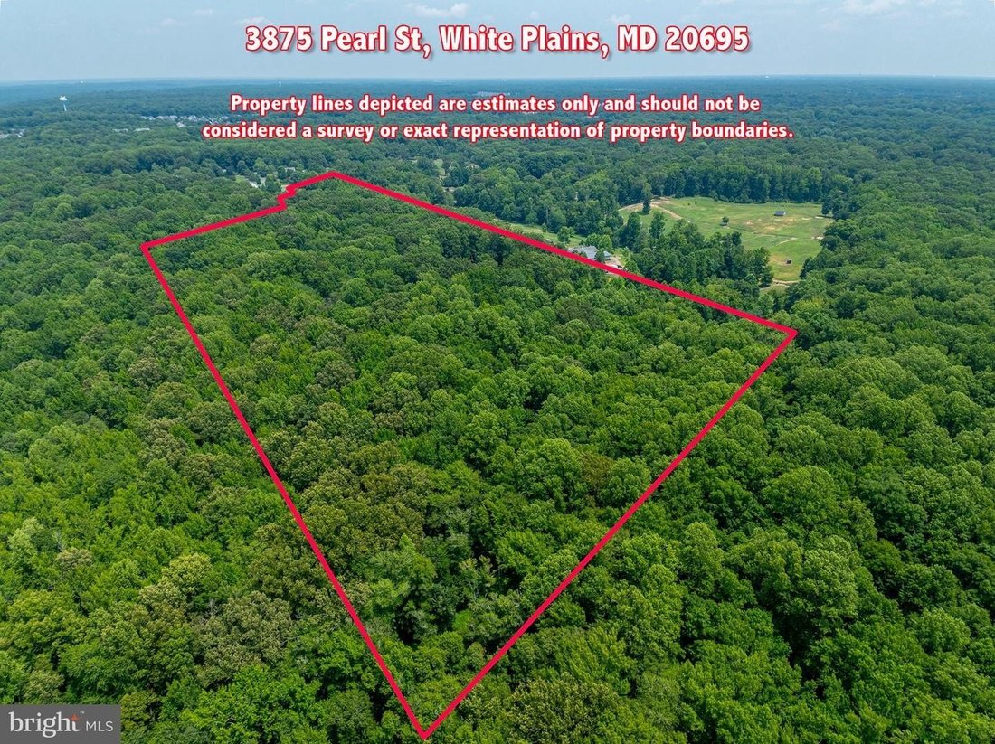 House in White Plains, Maryland, United States 2 - 18506613