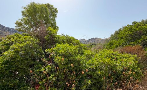 Terreno a Artà, Isole Baleari, Spagna 1