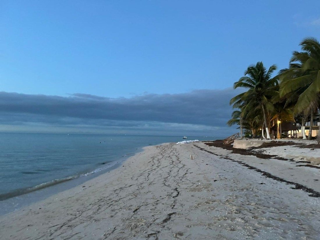 Land in Xtampú, Yucatan, Mexico 3 - 18504166