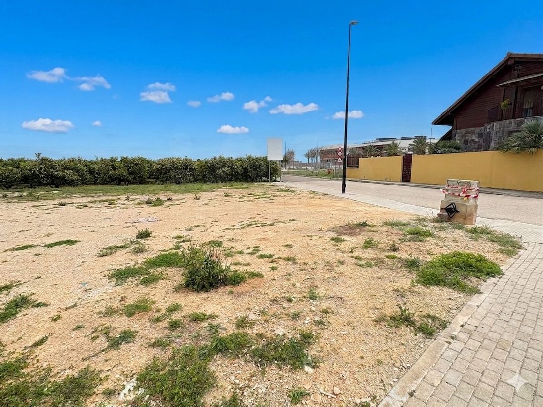 Land in Palmera, Valencian Community, Spain 4 - 17529953