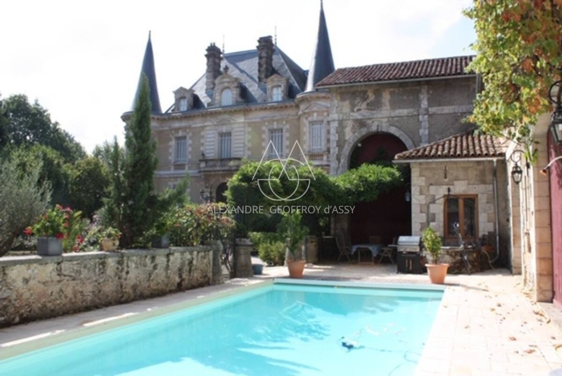 Castle in Habas, Nouvelle-Aquitaine, France 2 - 15753195