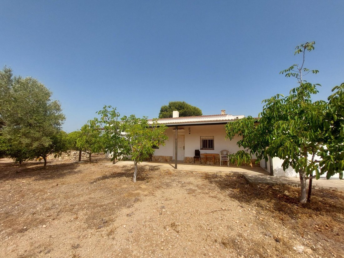 Country House in l'Ametlla de Mar, Catalonia, Spain 1 - 18503774