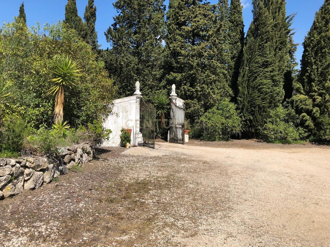 Farm Ranch in Setubal, Setubal, Portugal 1 - 18041162