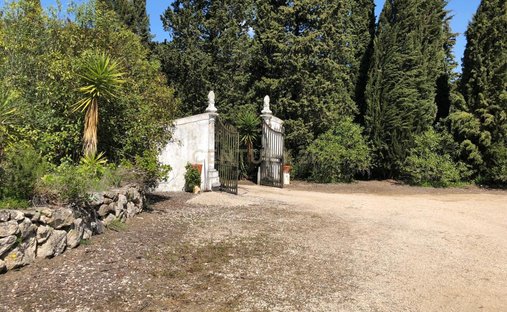 Azienda agricola a Setubal, Setúbal Municipality, Portogallo 1