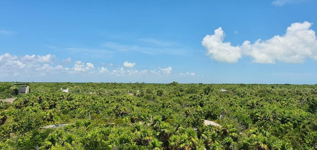 Land in Cancún, Quintana Roo, Mexico 3 - 18501375