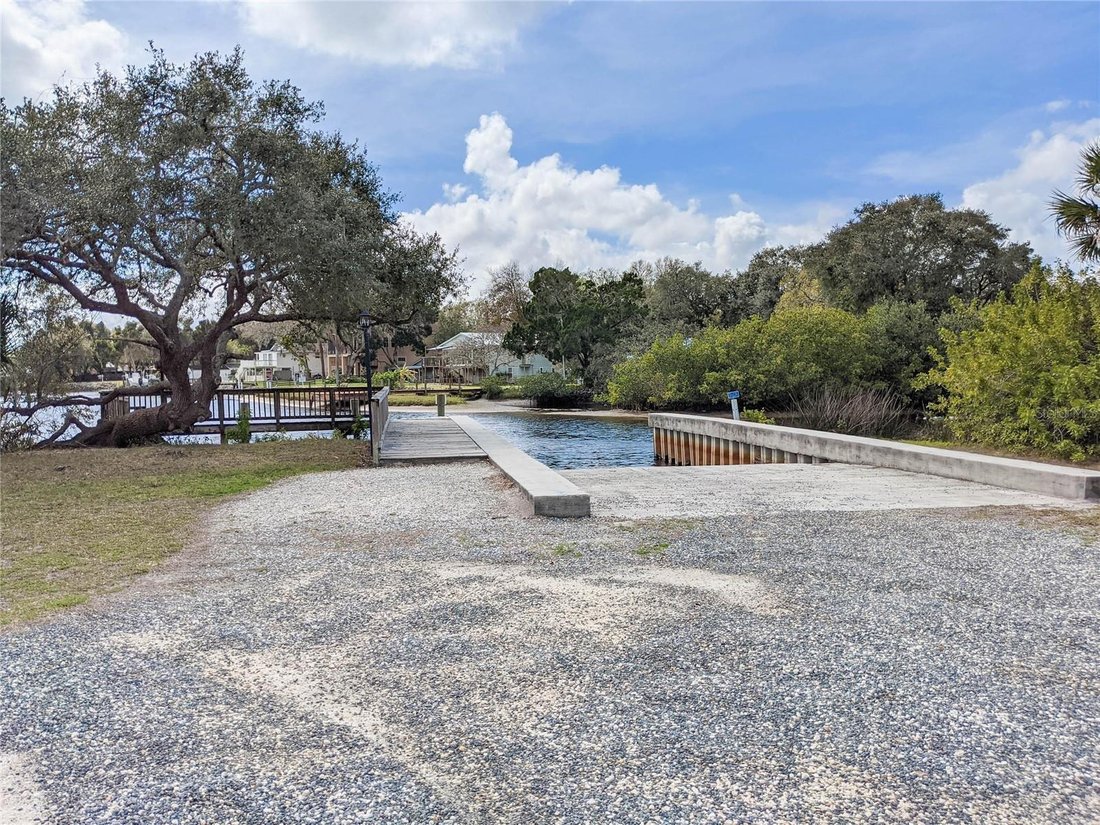 House in Trinity, Florida, United States 5 - 18502516