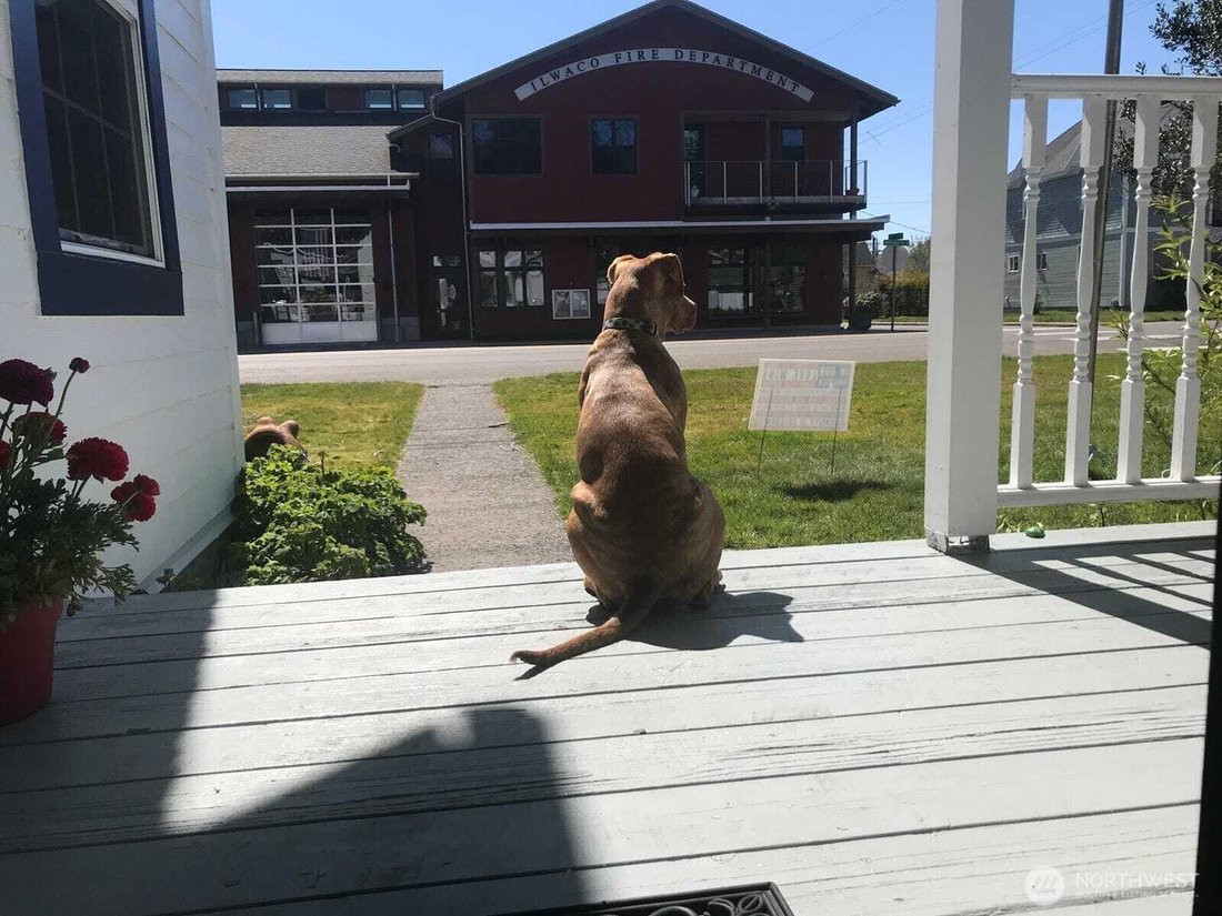 House in Ilwaco, Washington, United States 3 - 18502082