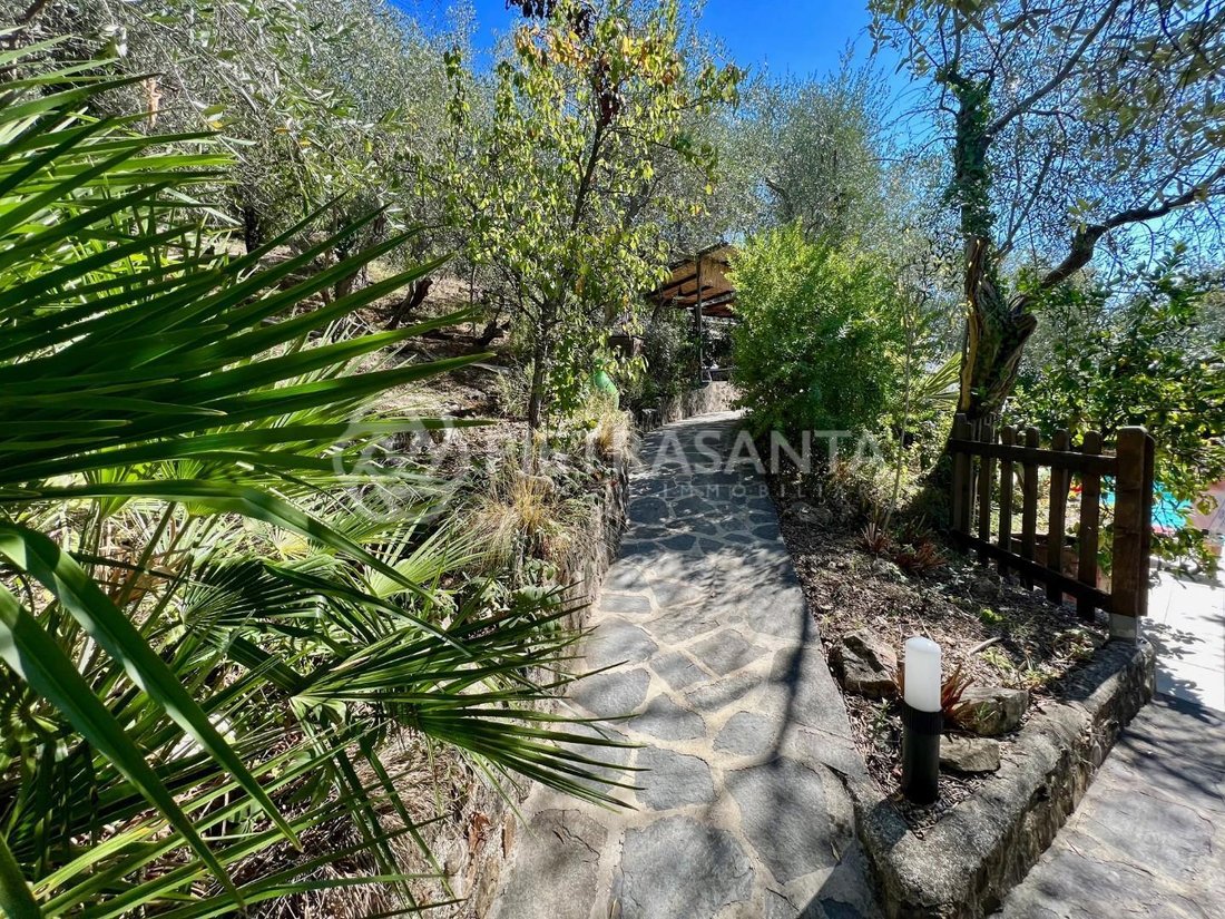 Autres à Camaiore, Toscane, Italie 5 - 18251398