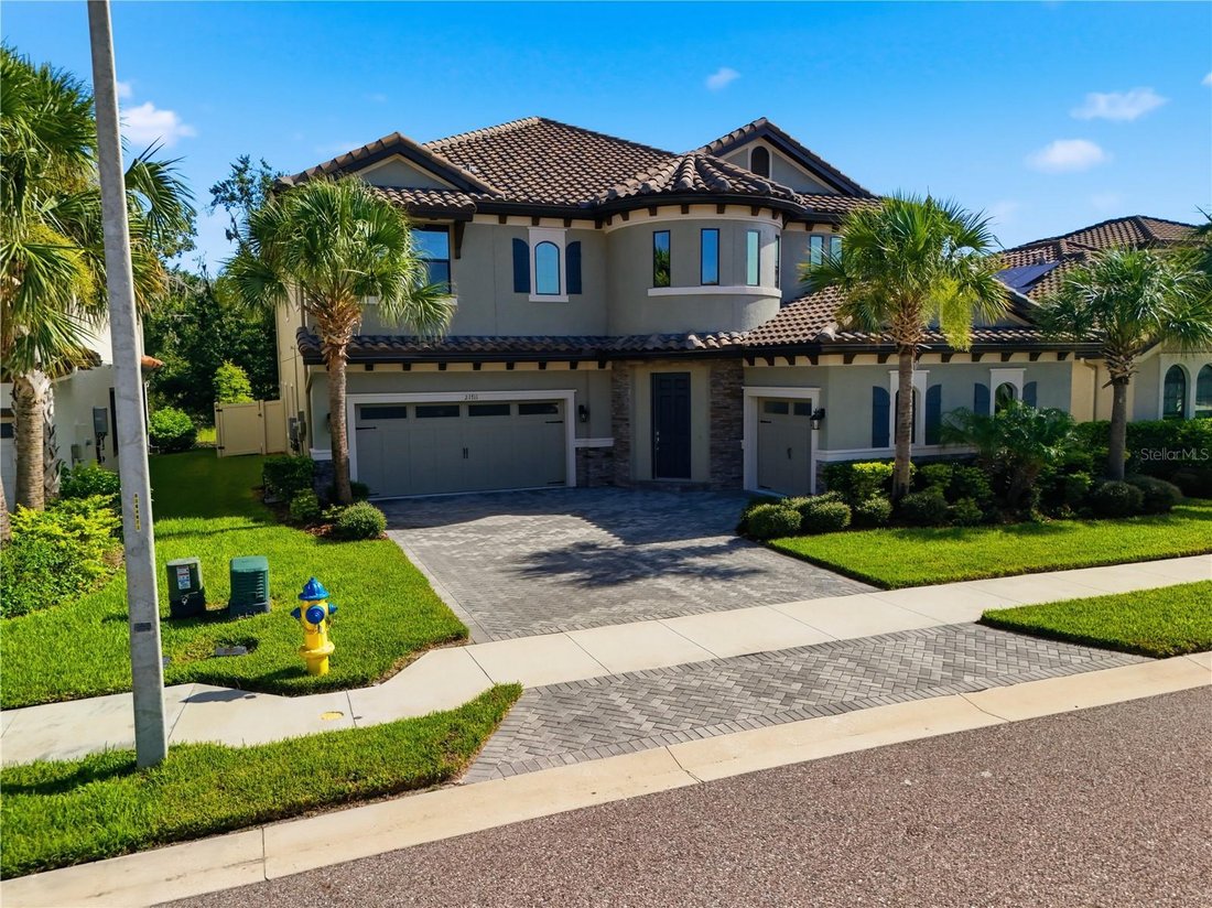 House in Land O' Lakes, Florida, United States 1 - 18499616