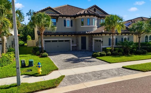 House in Land O' Lakes, Florida, United States 1