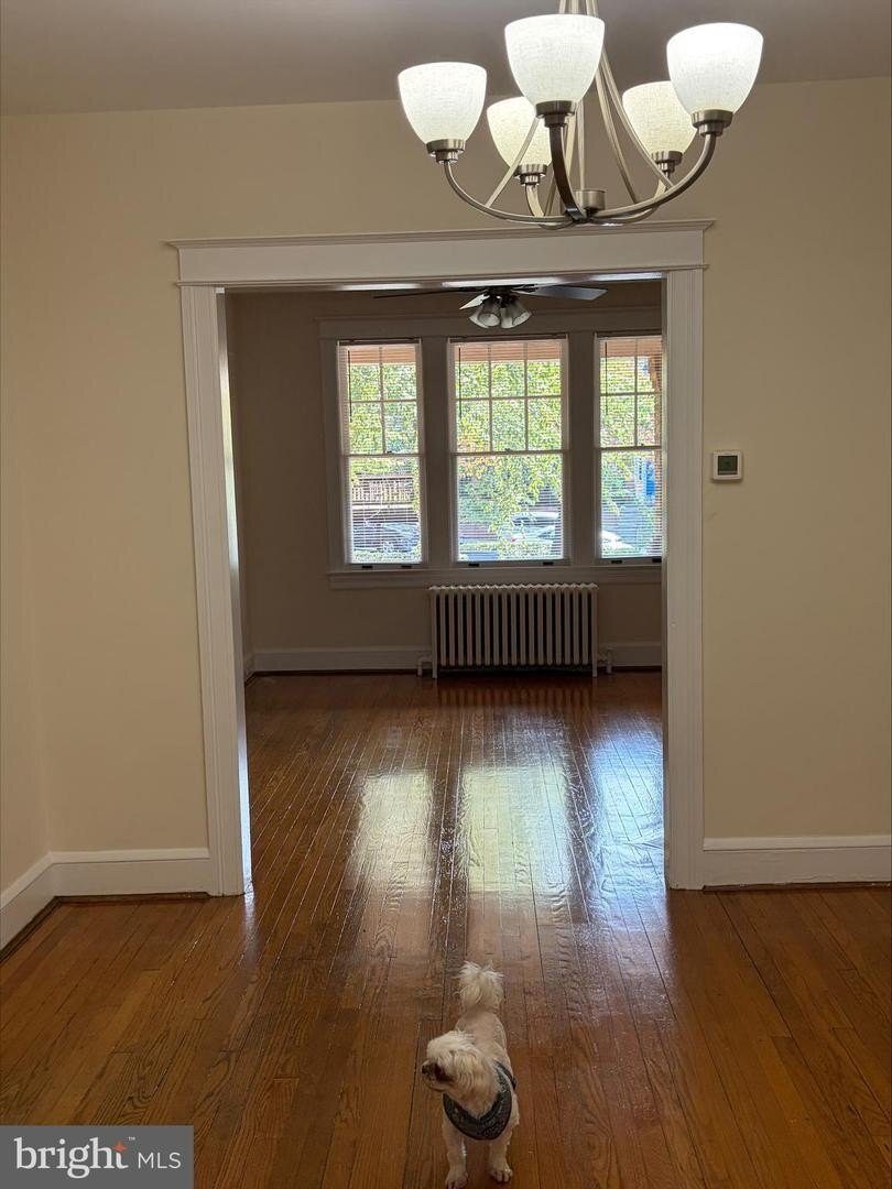 House in Washington, District of Columbia, United States 5 - 18507430
