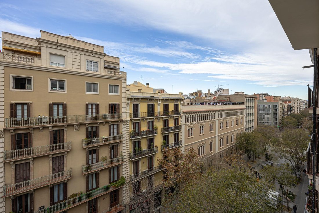 Apartment in Eixample, Barcelona, Spain 3 - 18499982
