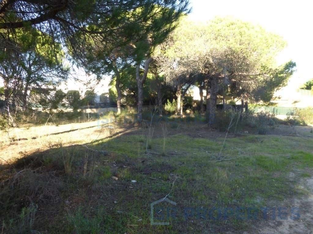 Land in Almancil, Algarve, Portugal 4 - 18435913