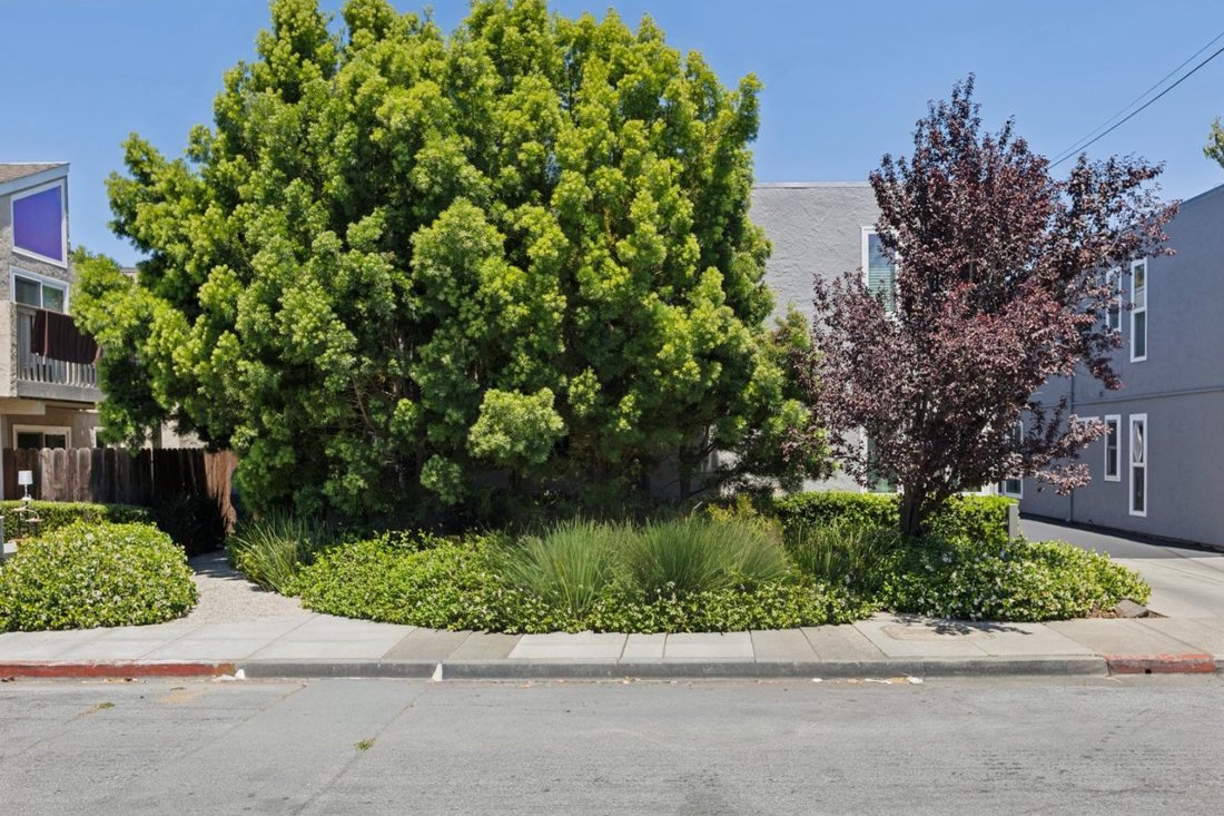Redwood City, California, United States 2 - 18499034