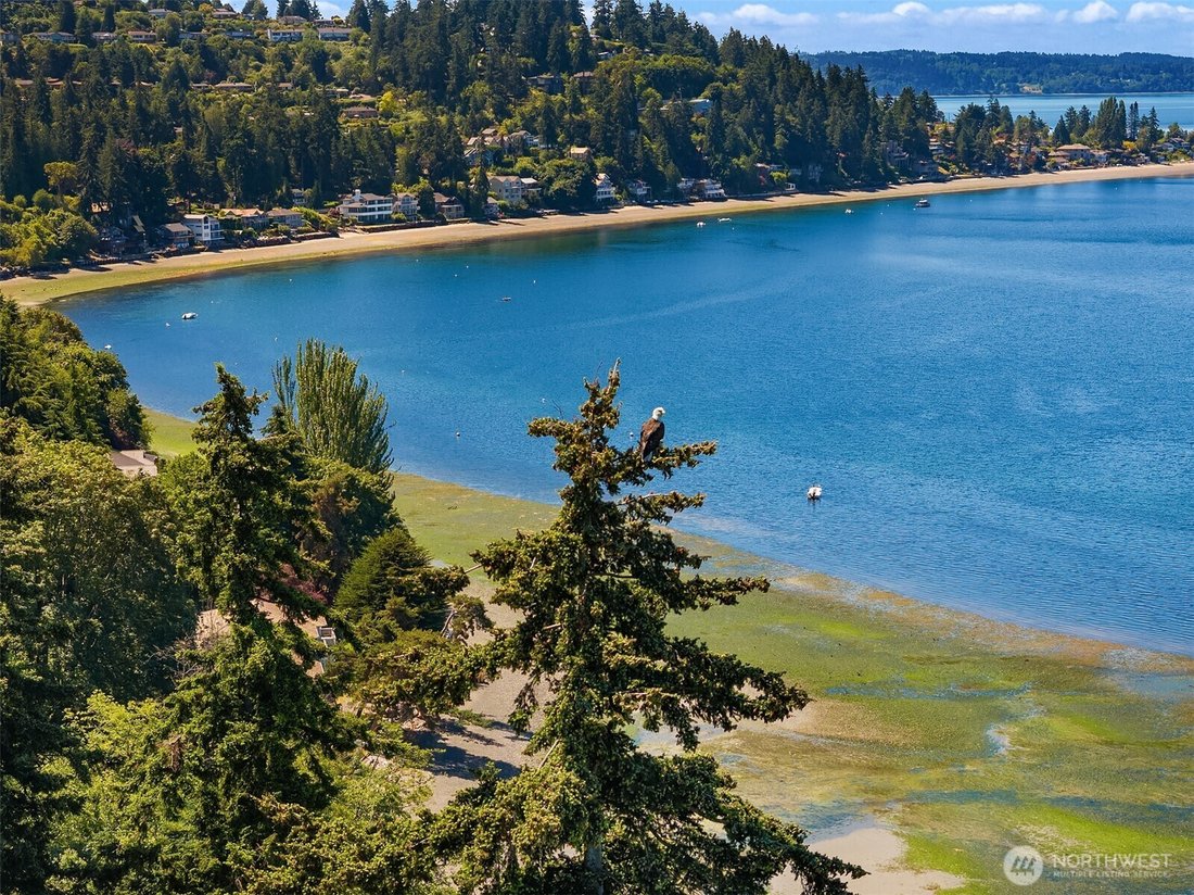 House in Burien, Washington, United States 2 - 18505023