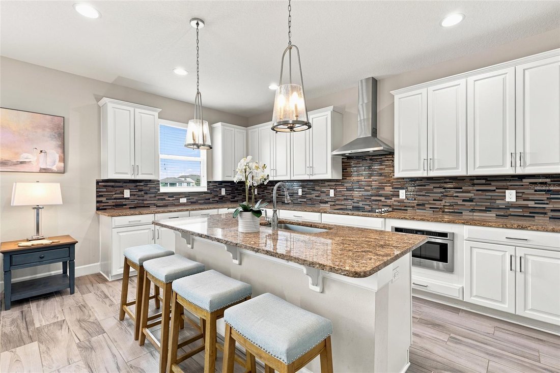 House in Wesley Chapel, Florida, United States 3 - 18499629