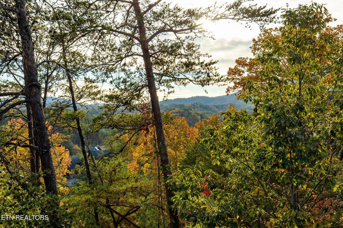 House in Sevierville, Tennessee, United States 3 - 18500154