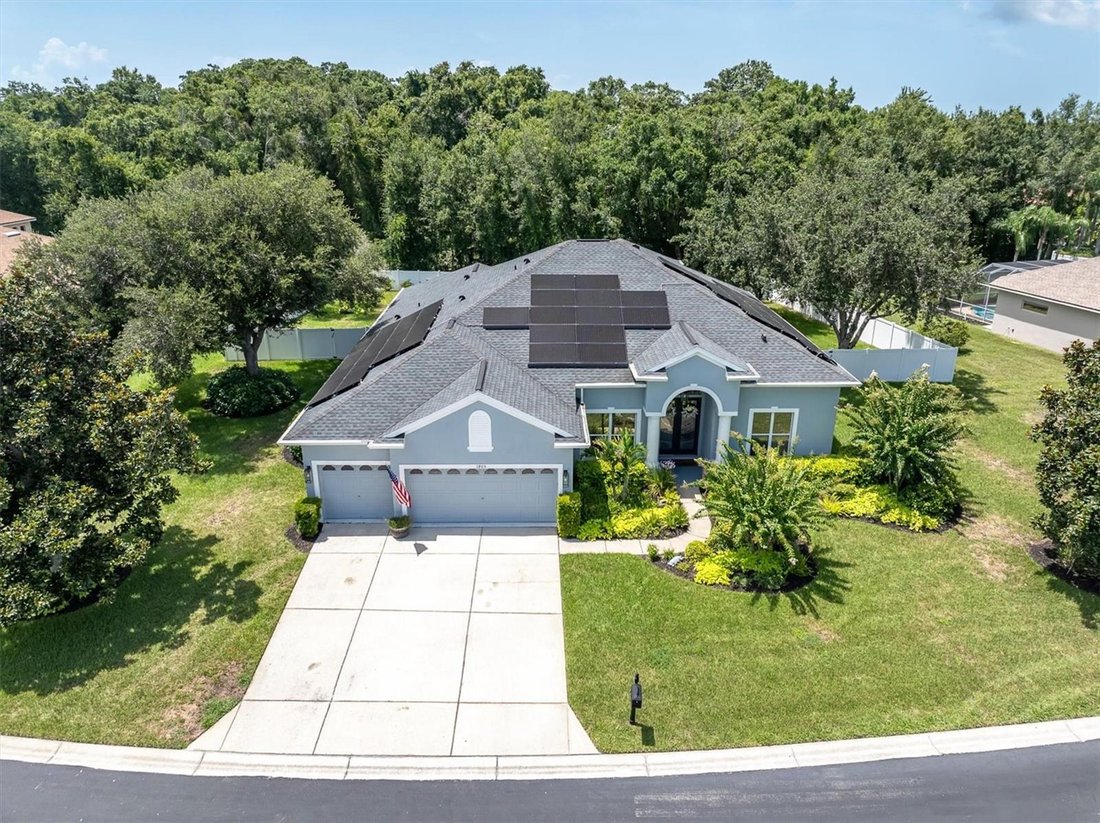 House in Trinity, Florida, United States 2 - 18502516