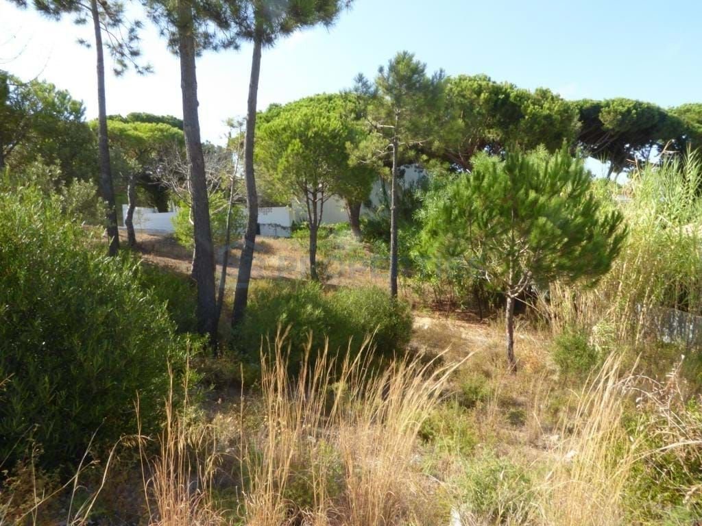 Land in Almancil, Algarve, Portugal 3 - 18435811