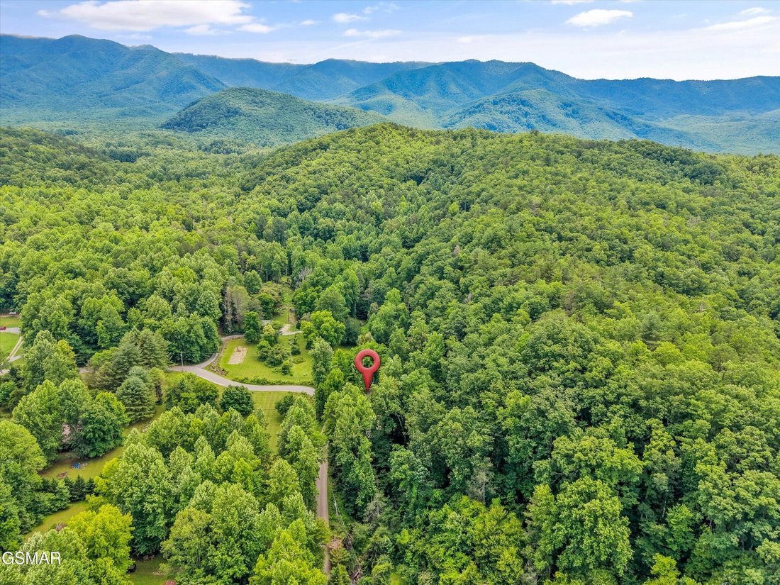 House in Cosby, Tennessee, United States 2 - 18500230
