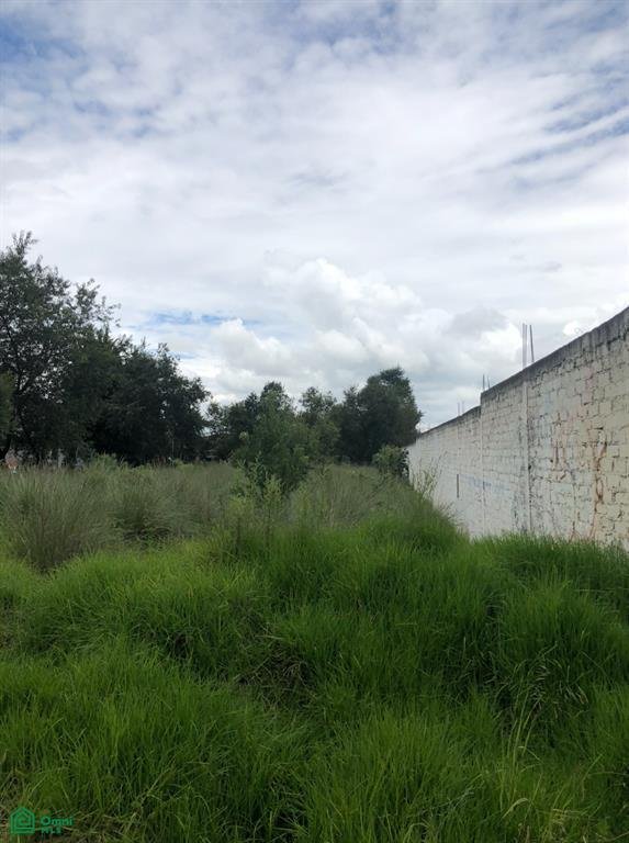 Land in San José el Llanito, State of Mexico, Mexico 1 - 18407969
