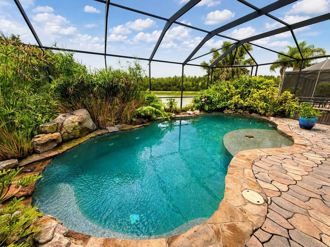 House in Tampa, Florida, United States 3 - 18502546