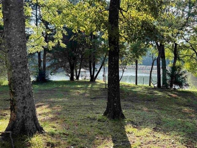Land in Hideaway, Texas, United States 4 - 18503583