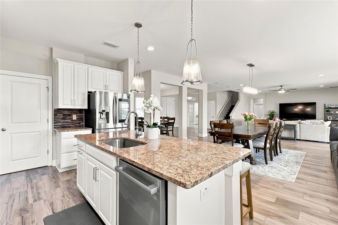 House in Wesley Chapel, Florida, United States 5 - 18499629