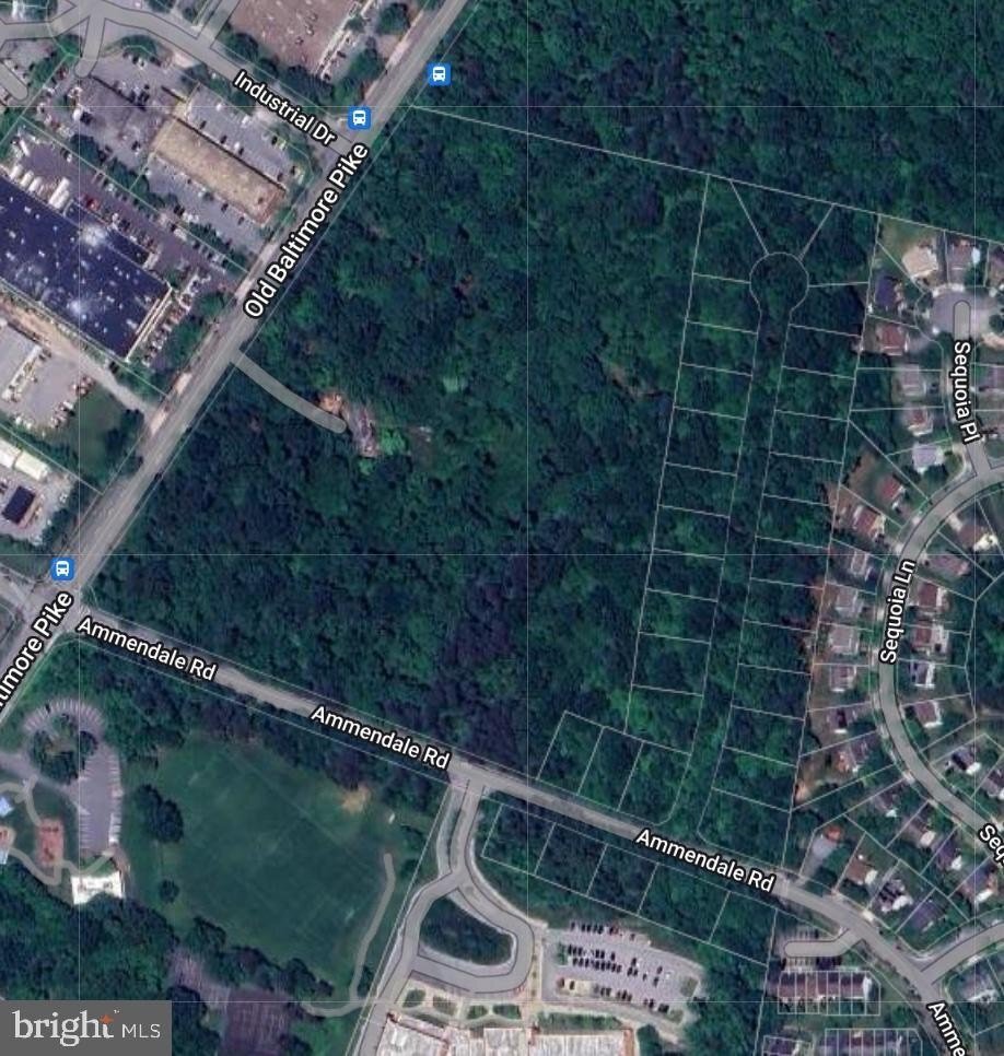 House in Beltsville, Maryland, United States 4 - 18506590
