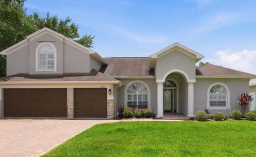 House in Tampa, Florida, United States 1