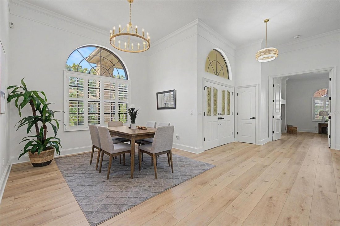 House in Oldsmar, Florida, United States 5 - 18499611