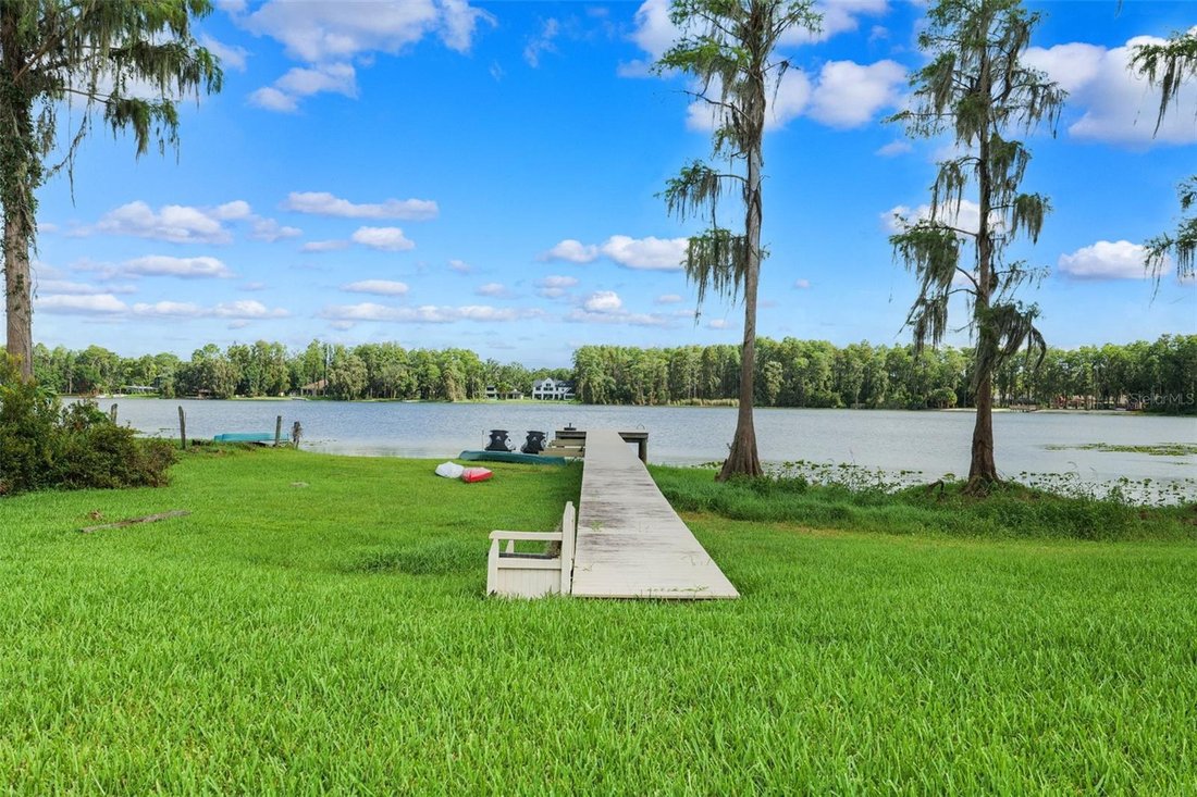 House in Tampa, Florida, United States 3 - 18502565