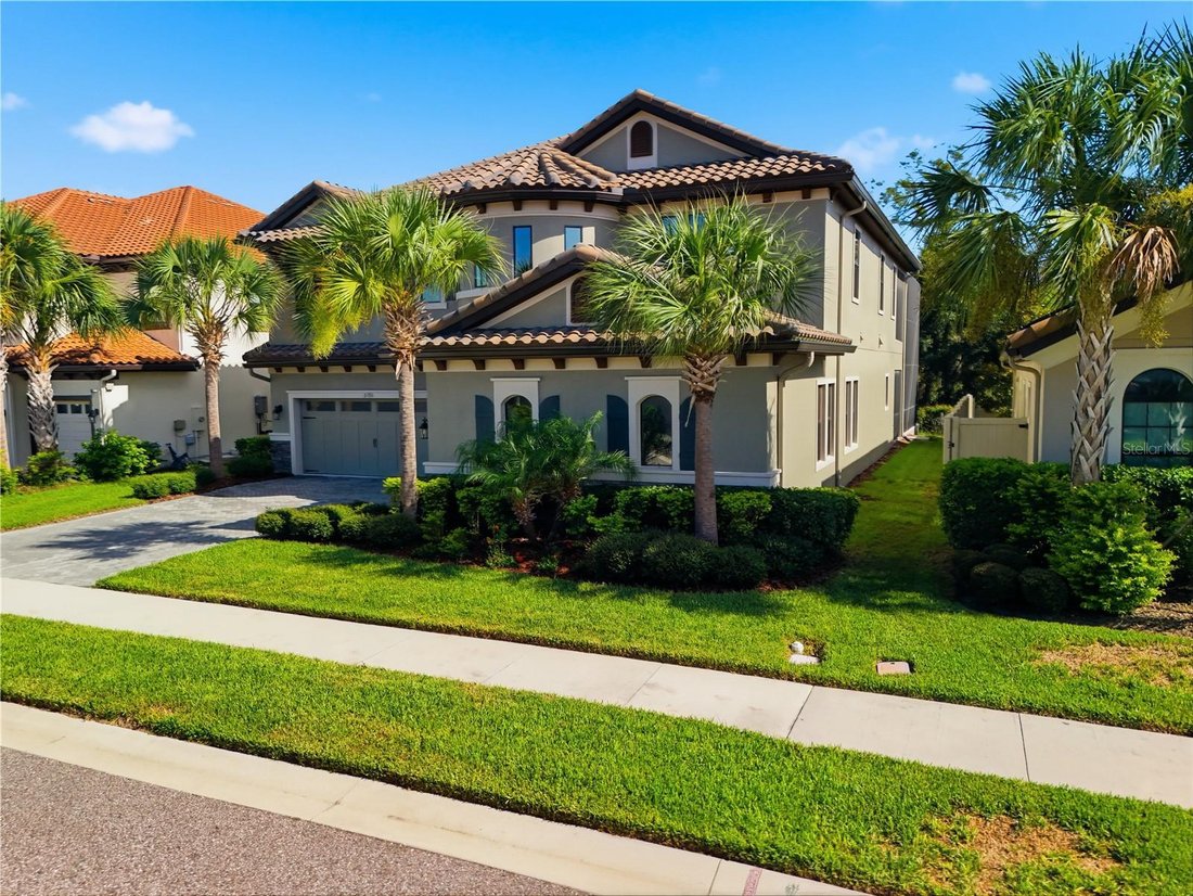 House in Land O' Lakes, Florida, United States 2 - 18499616