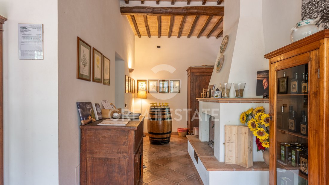 Estate in Montalcino, Tuscany, Italy 2 - 18503992