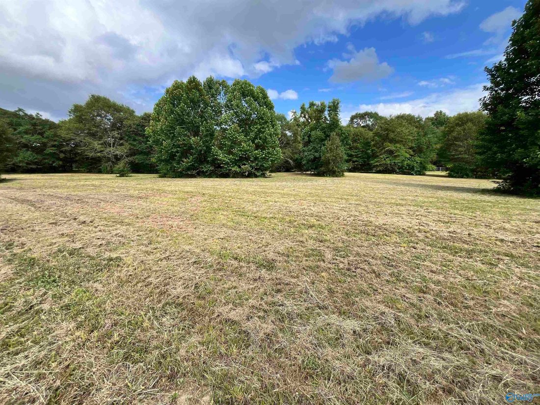 House in Albertville, Alabama, United States 5 - 18505406
