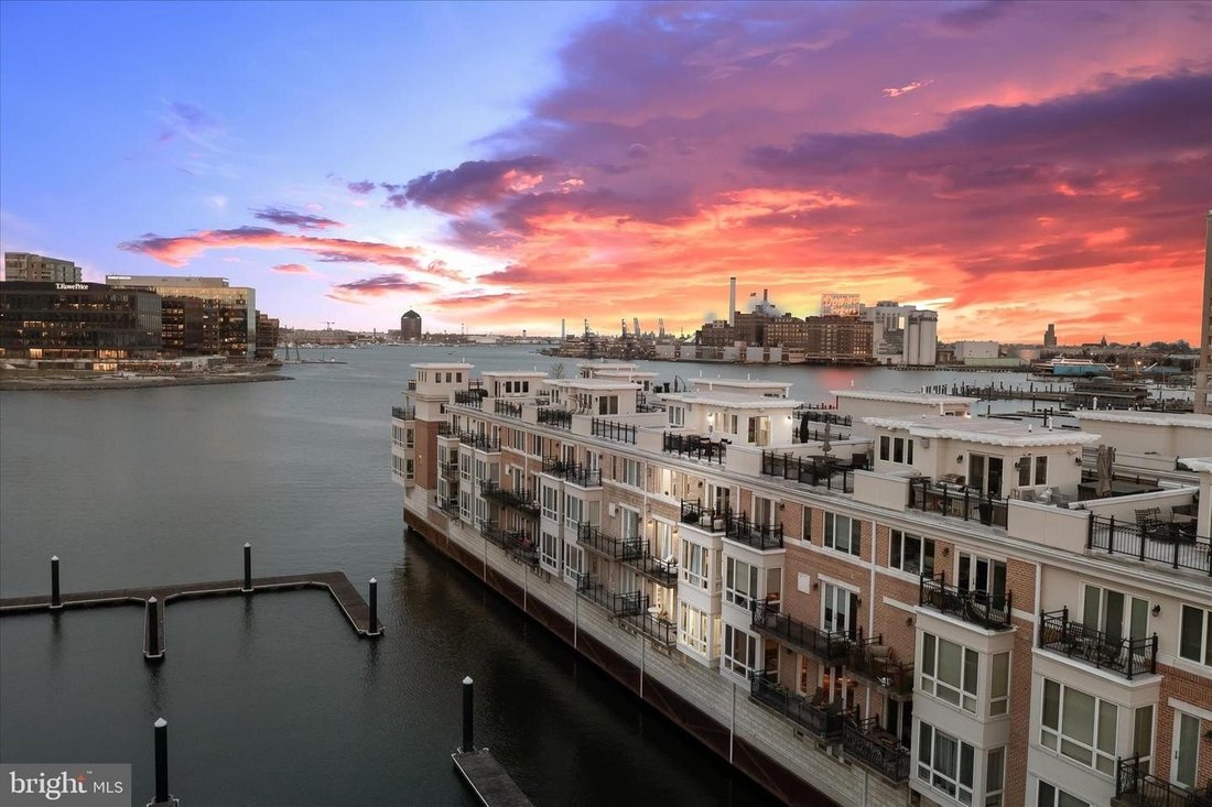 House in Baltimore, Maryland, United States 1 - 18505013