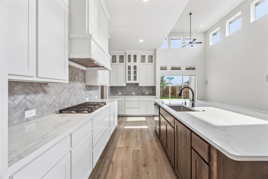House in Frisco, Texas, United States 5 - 18503483