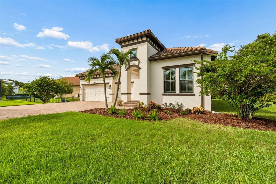 House in Tampa, Florida, United States 2 - 18499626