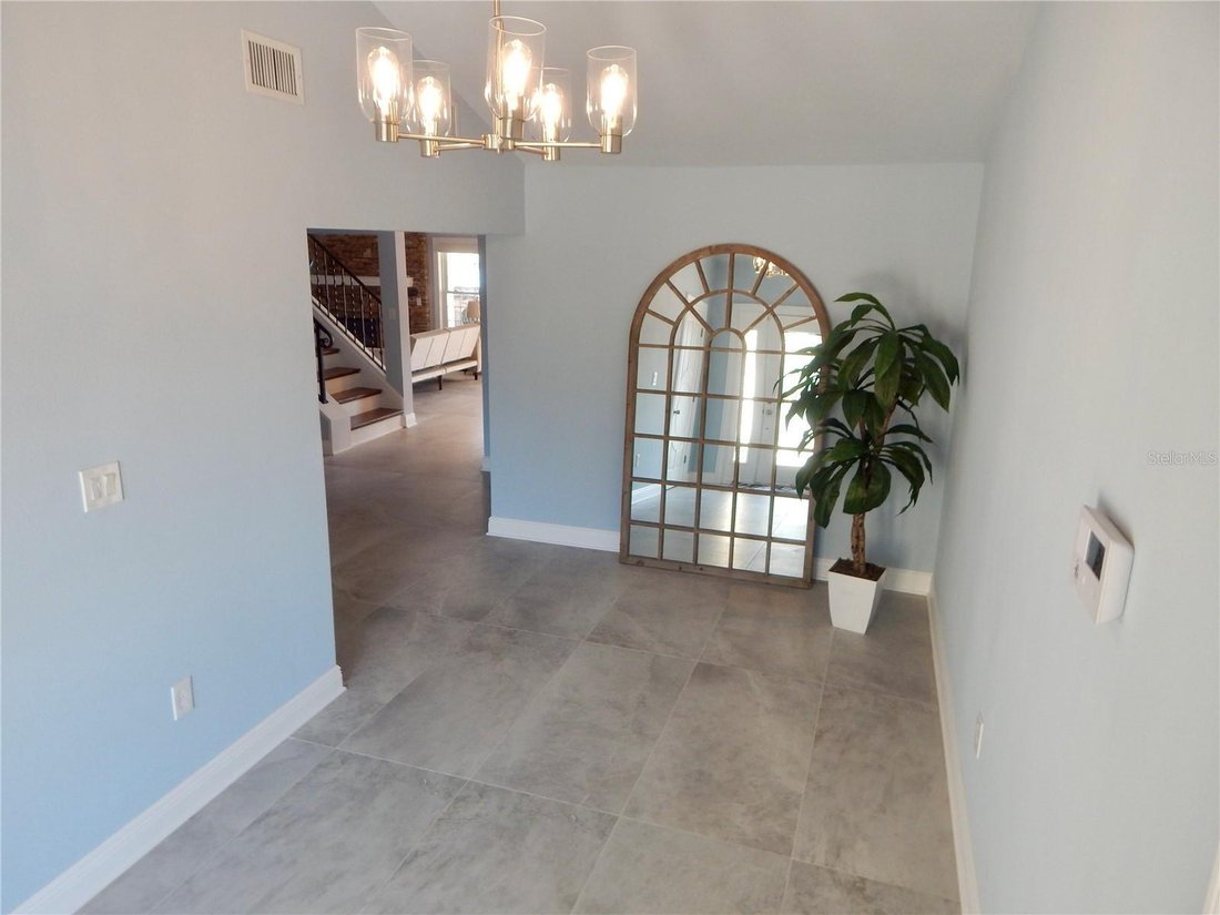 House in New Port Richey, Florida, United States 5 - 18502564