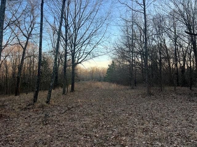 Land in Collierville, Tennessee, United States 5 - 18504833