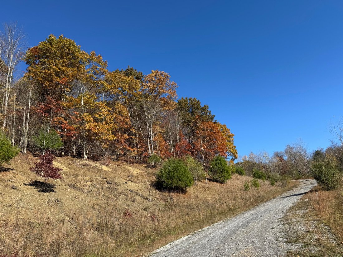 Farm Ranch in Clearfield, Pennsylvania, United States 2 - 18503332