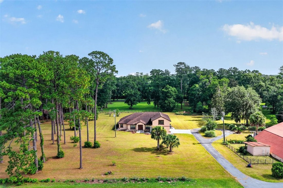 House in Ocala, Florida, United States 3 - 18499591