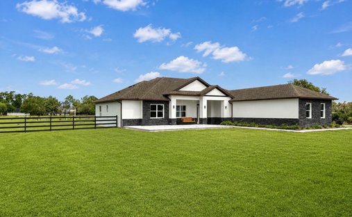 House in Tavares, Florida, United States 1