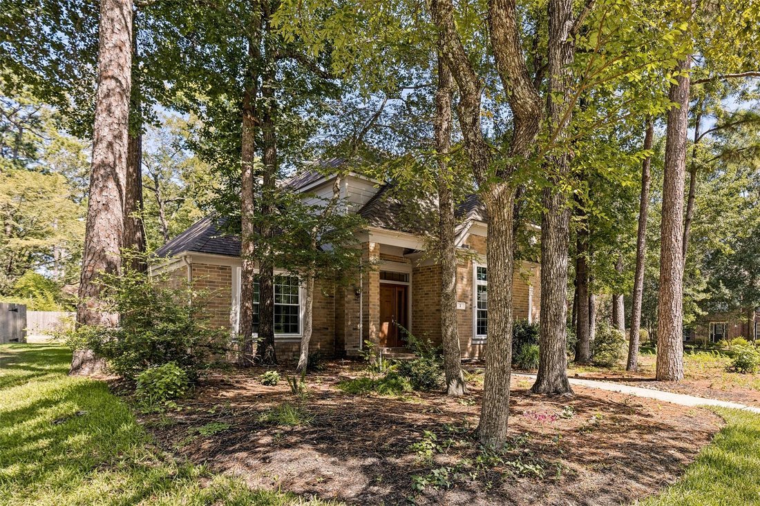 House in The Woodlands, Texas, United States 1 - 18500246