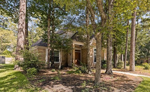 House in The Woodlands, Texas, United States 1