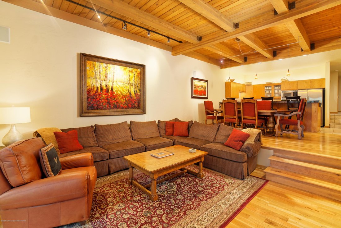 Condo in Snowmass Village, Colorado, United States 5 - 18501486
