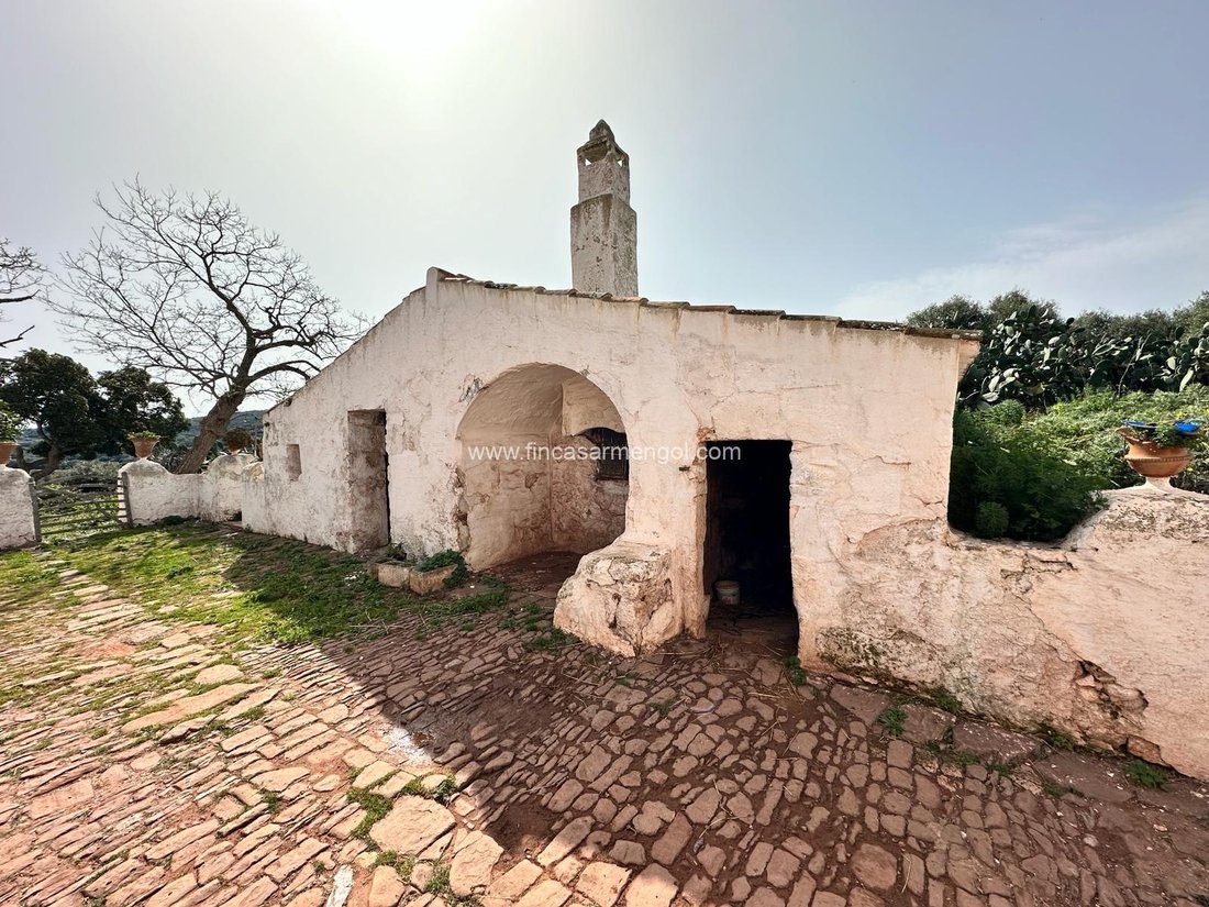 Finca in Ferreries, Balearic Islands, Spain 5 - 18499310